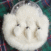 White-Rabbit-Fur-Sporran-with-Thistle.png