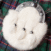 White-Rabbit-Fur-Sporran-with-Thistle3.png